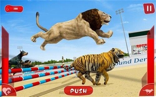 狮子赛跑3d